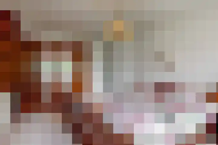 Rietzanger 55 Hoorn thumbnail 15