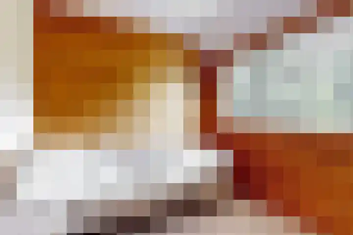 Rietzanger 55 Hoorn thumbnail 20