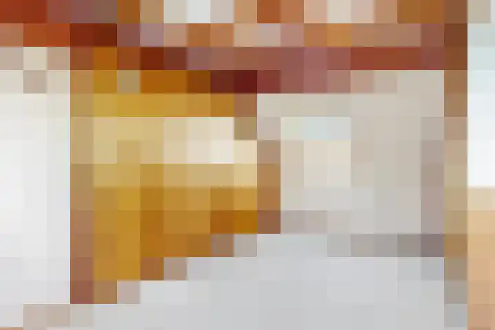 Rietzanger 55 Hoorn thumbnail 27