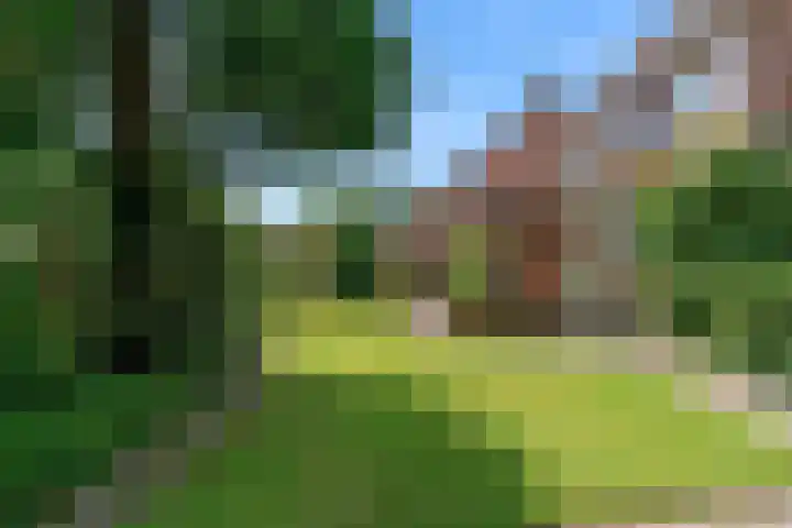 Rietzanger 55 Hoorn thumbnail 30