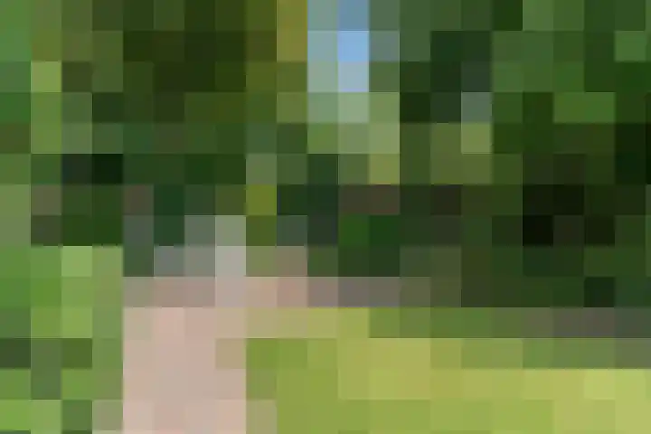 Rietzanger 55 Hoorn thumbnail 32