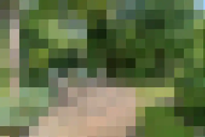Rietzanger 55 Hoorn thumbnail 33