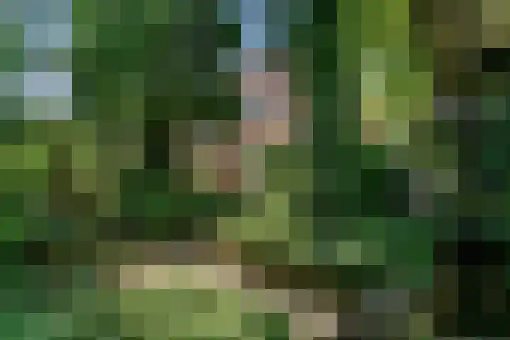 Rietzanger 55 Hoorn thumbnail 35