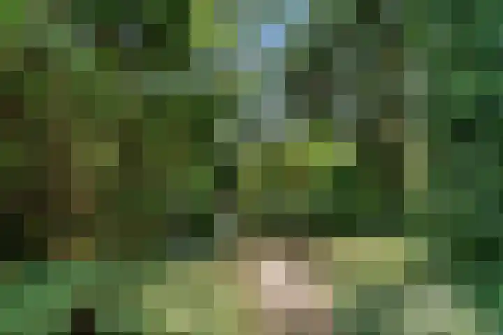 Rietzanger 55 Hoorn thumbnail 36