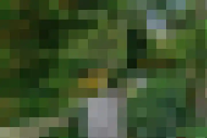 Rietzanger 55 Hoorn thumbnail 37