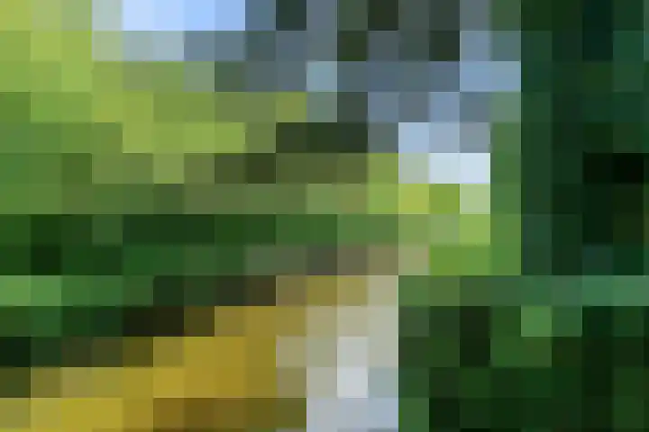 Rietzanger 55 Hoorn thumbnail 38