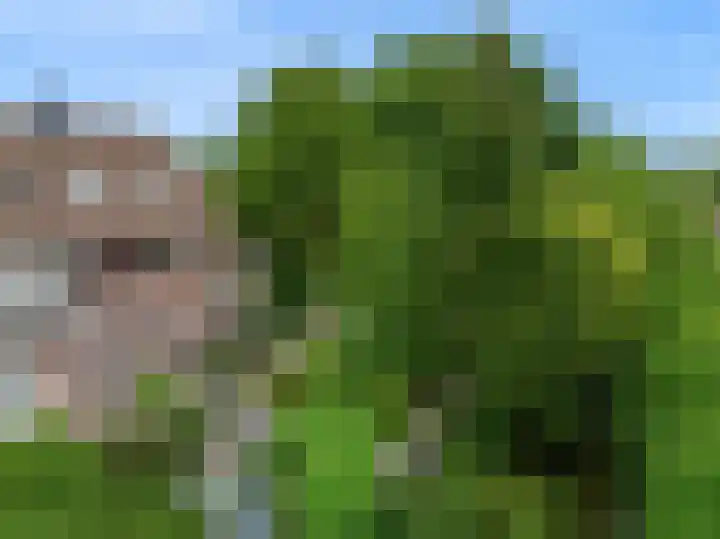 Rietzanger 55 Hoorn thumbnail 39