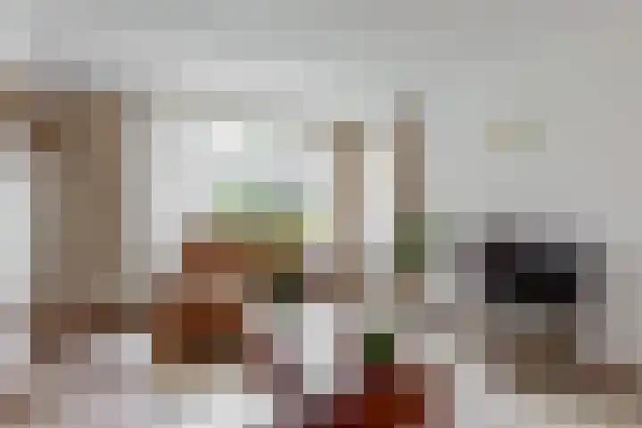 Rietzanger 55 Hoorn thumbnail 4