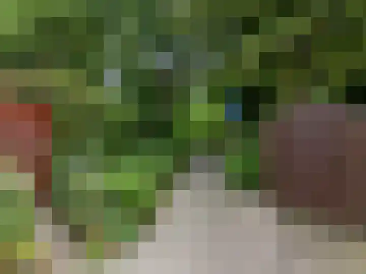 Rietzanger 55 Hoorn thumbnail 41