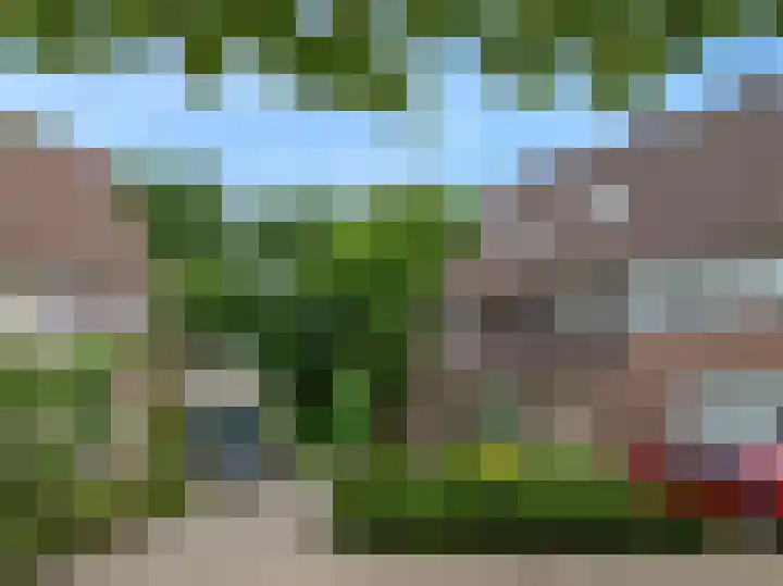 Rietzanger 55 Hoorn thumbnail 42
