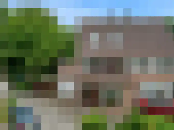 Rietzanger 55 Hoorn thumbnail 43