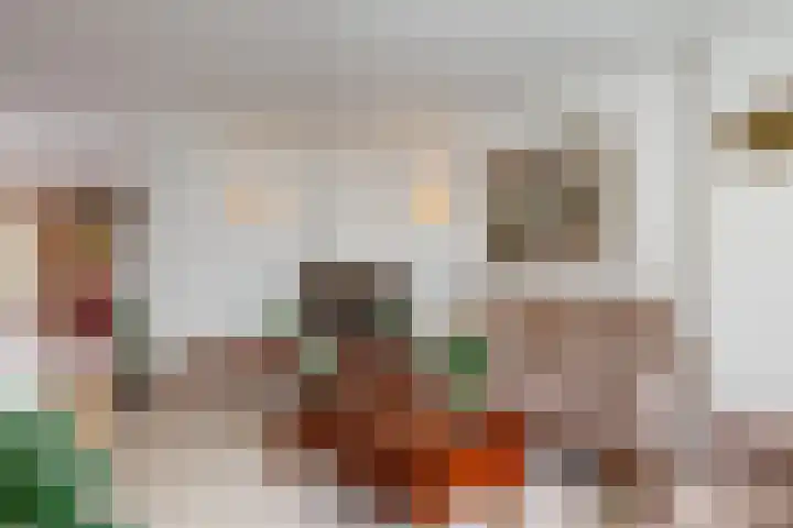 Rietzanger 55 Hoorn thumbnail 5