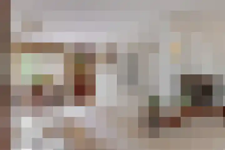 Rietzanger 55 Hoorn thumbnail 6