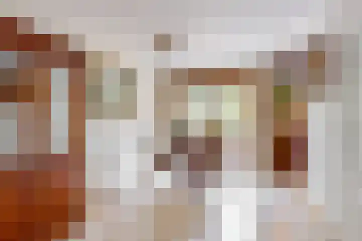 Rietzanger 55 Hoorn thumbnail 7