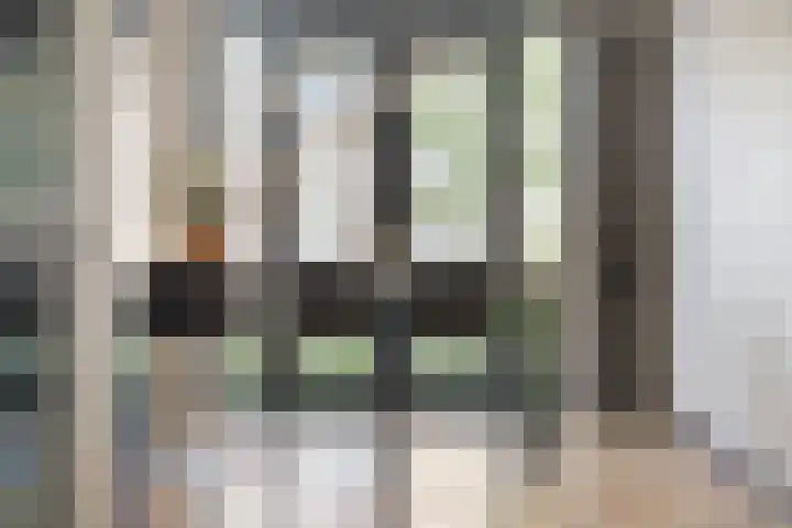 Rietzanger 8 Hendrik-Ido-Ambacht thumbnail 10