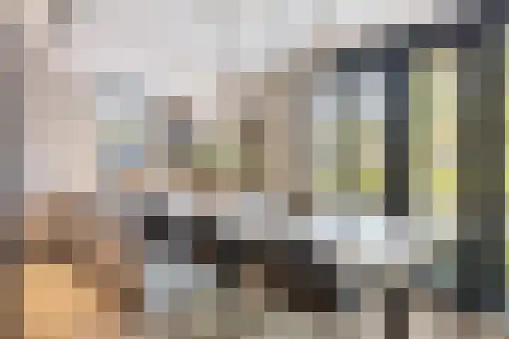 Rietzanger 8 Hendrik-Ido-Ambacht thumbnail 11