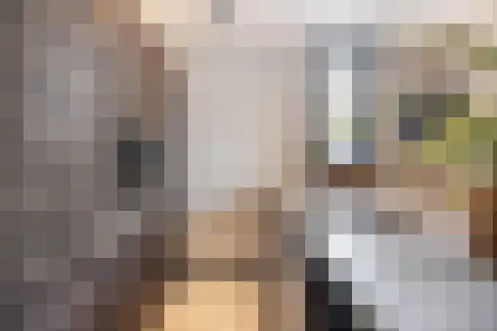 Rietzanger 8 Hendrik-Ido-Ambacht thumbnail 12