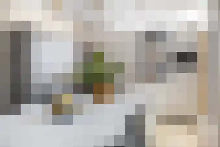 Rietzanger 8 Hendrik-Ido-Ambacht thumbnail 13