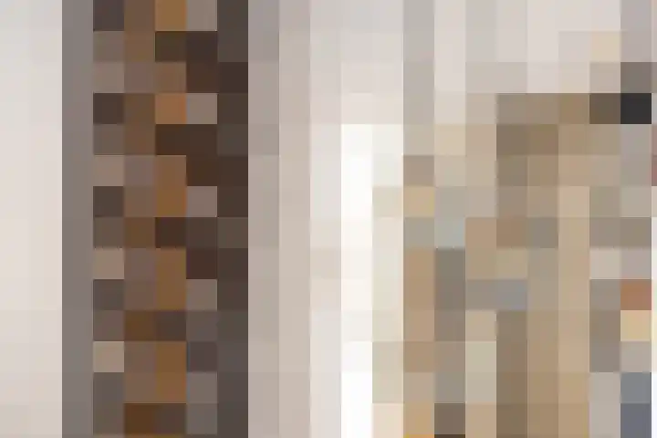 Rietzanger 8 Hendrik-Ido-Ambacht thumbnail 14