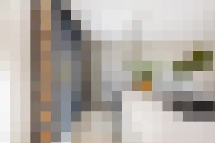 Rietzanger 8 Hendrik-Ido-Ambacht thumbnail 15