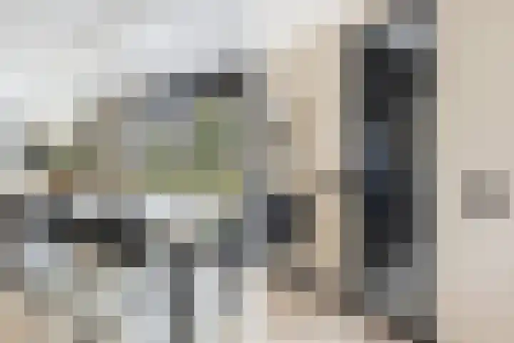 Rietzanger 8 Hendrik-Ido-Ambacht thumbnail 16