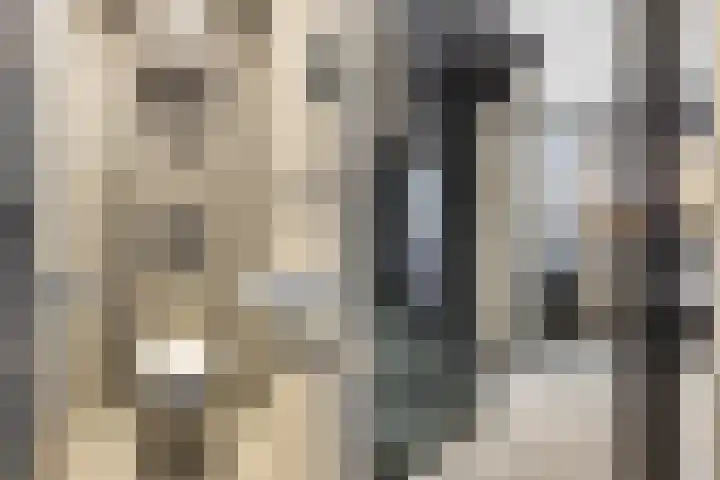 Rietzanger 8 Hendrik-Ido-Ambacht thumbnail 17