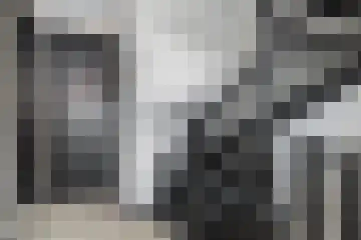 Rietzanger 8 Hendrik-Ido-Ambacht thumbnail 18