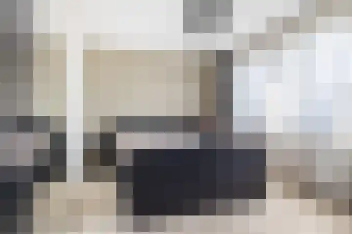 Rietzanger 8 Hendrik-Ido-Ambacht thumbnail 19