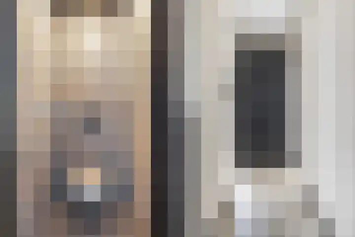 Rietzanger 8 Hendrik-Ido-Ambacht thumbnail 20