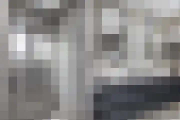 Rietzanger 8 Hendrik-Ido-Ambacht thumbnail 21