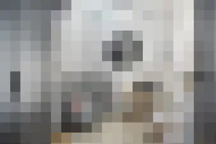 Rietzanger 8 Hendrik-Ido-Ambacht thumbnail 23