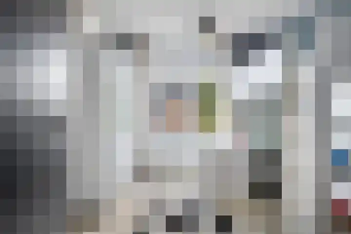 Rietzanger 8 Hendrik-Ido-Ambacht thumbnail 24