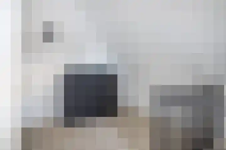 Rietzanger 8 Hendrik-Ido-Ambacht thumbnail 25