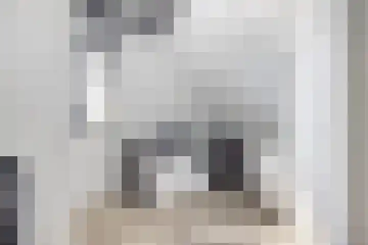 Rietzanger 8 Hendrik-Ido-Ambacht thumbnail 27
