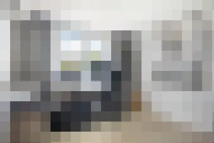 Rietzanger 8 Hendrik-Ido-Ambacht thumbnail 28