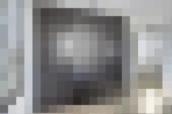 Rietzanger 8 Hendrik-Ido-Ambacht thumbnail 29