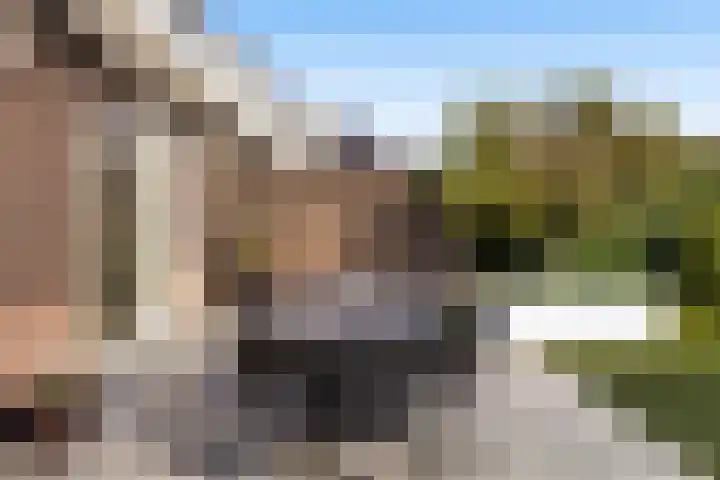Rietzanger 8 Hendrik-Ido-Ambacht thumbnail 32