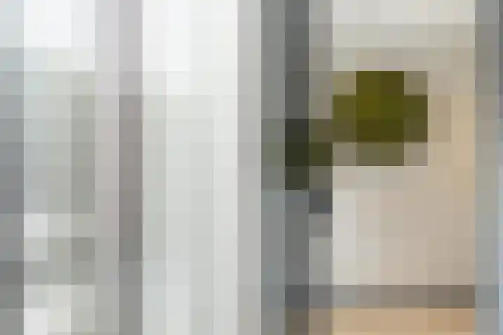 Rietzanger 8 Hendrik-Ido-Ambacht thumbnail 4