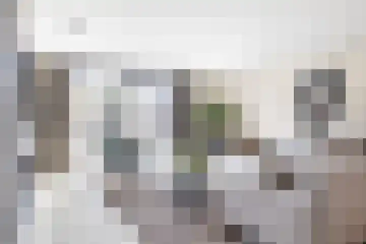 Rietzanger 8 Hendrik-Ido-Ambacht thumbnail 5