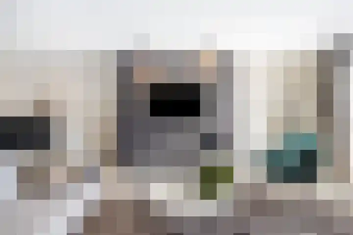 Rietzanger 8 Hendrik-Ido-Ambacht thumbnail 7