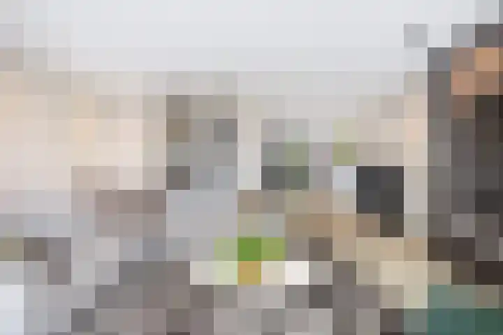 Rietzanger 8 Hendrik-Ido-Ambacht thumbnail 8
