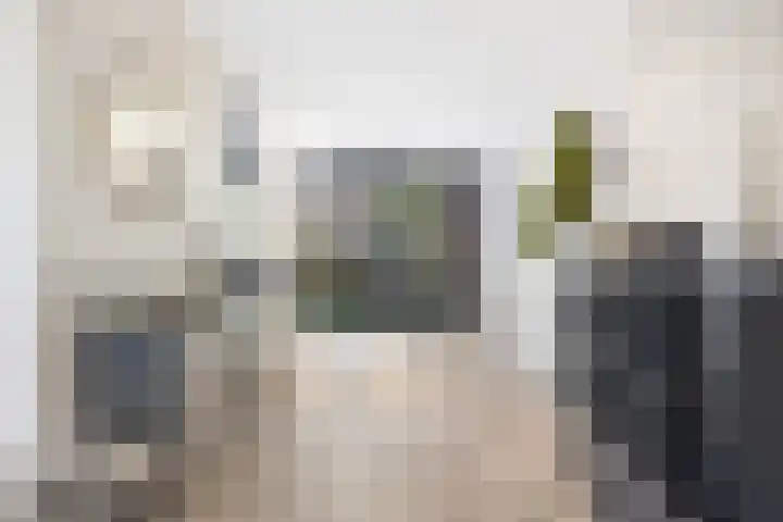 Rietzanger 8 Hendrik-Ido-Ambacht thumbnail 9