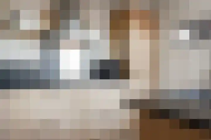 Rietzanger 92 Hoorn thumbnail 12
