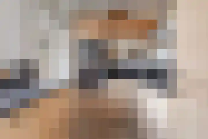 Rietzanger 92 Hoorn thumbnail 13