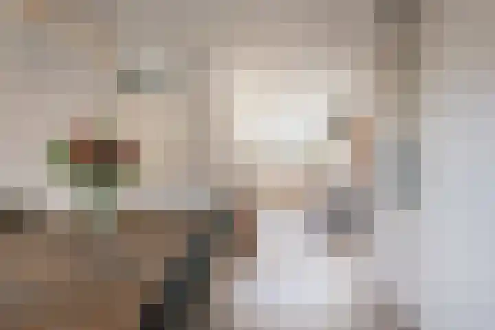 Rietzanger 92 Hoorn thumbnail 16