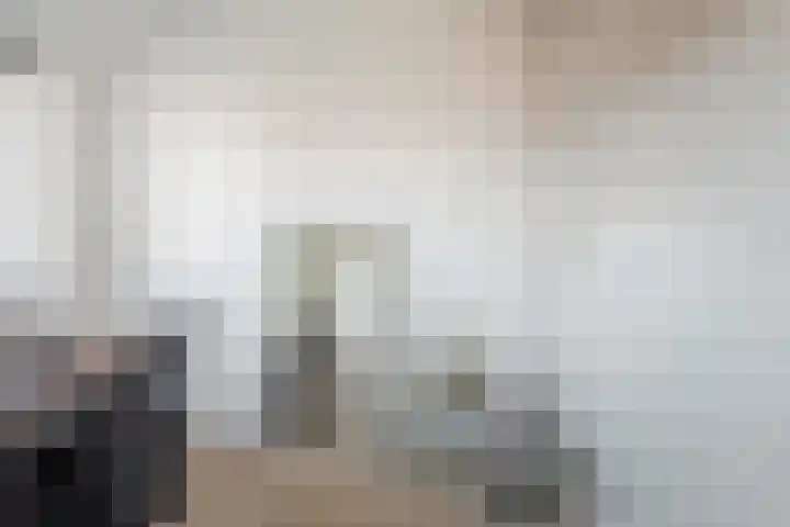 Rietzanger 92 Hoorn thumbnail 20