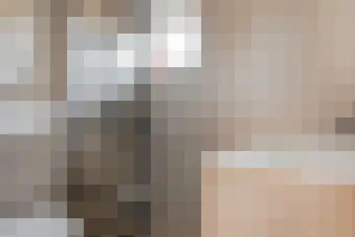 Rietzanger 92 Hoorn thumbnail 27