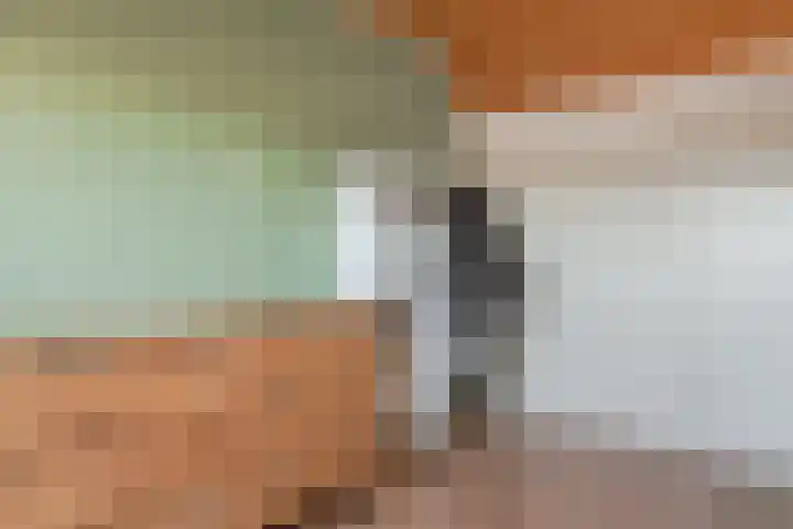 Rietzanger 92 Hoorn thumbnail 32