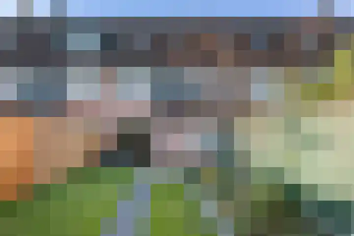 Rietzanger 92 Hoorn thumbnail 33