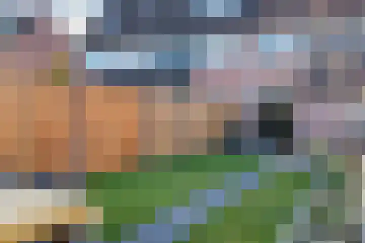 Rietzanger 92 Hoorn thumbnail 34